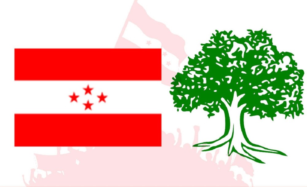 पार्टी विभाजन हल्ला मात्र हो